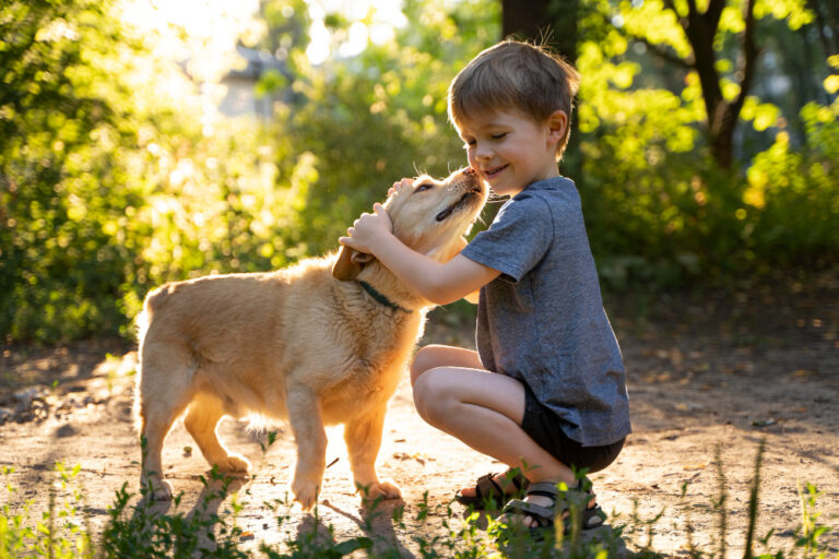 niño con perro en el campo